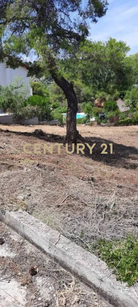 Οικόπεδο στην περιοχή Μαλεσίνης — φωτογραφία 5
