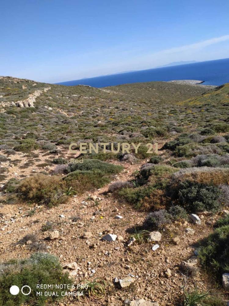 Αγροτεμάχιο στην περιοχή Φολέγανδρος — φωτογραφία 2