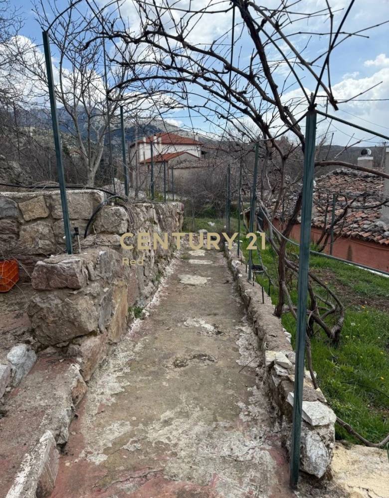 Οικόπεδο στην περιοχή Αράχωβα — φωτογραφία 4