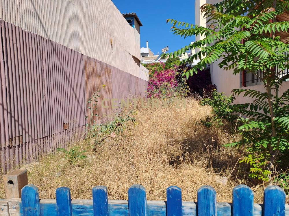 Οικόπεδο — Κορυδαλλός