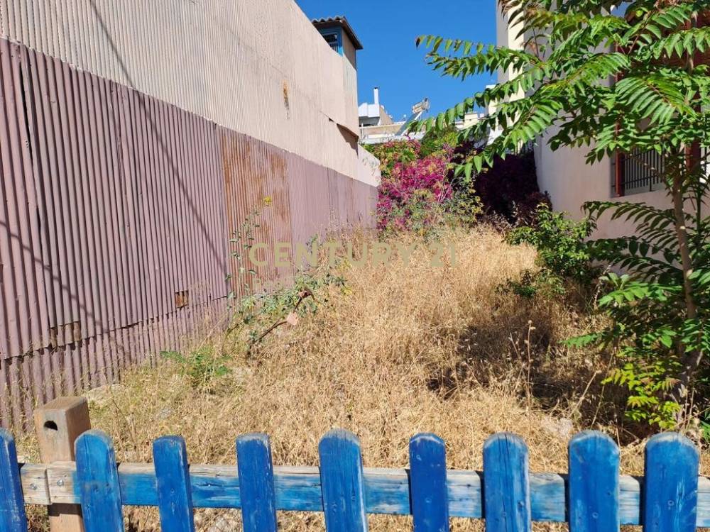 Οικόπεδο — Κορυδαλλός