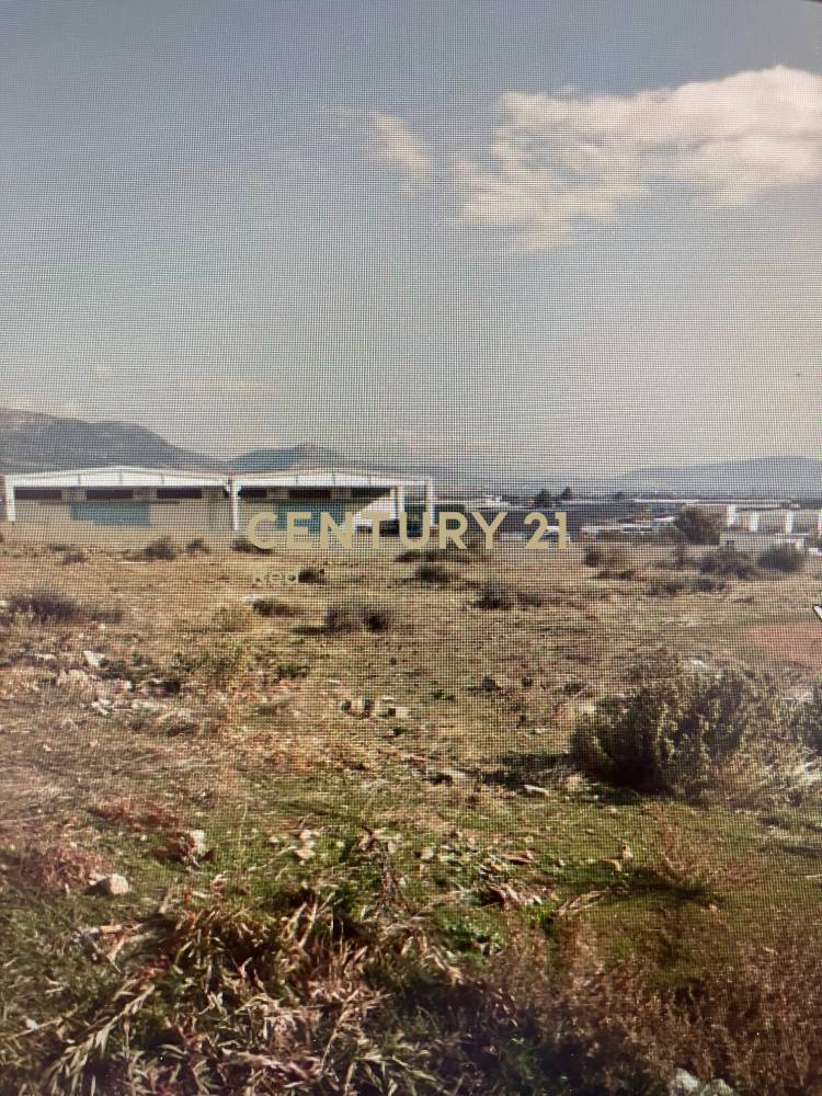 Αγροτεμάχιο — Μαγούλα
