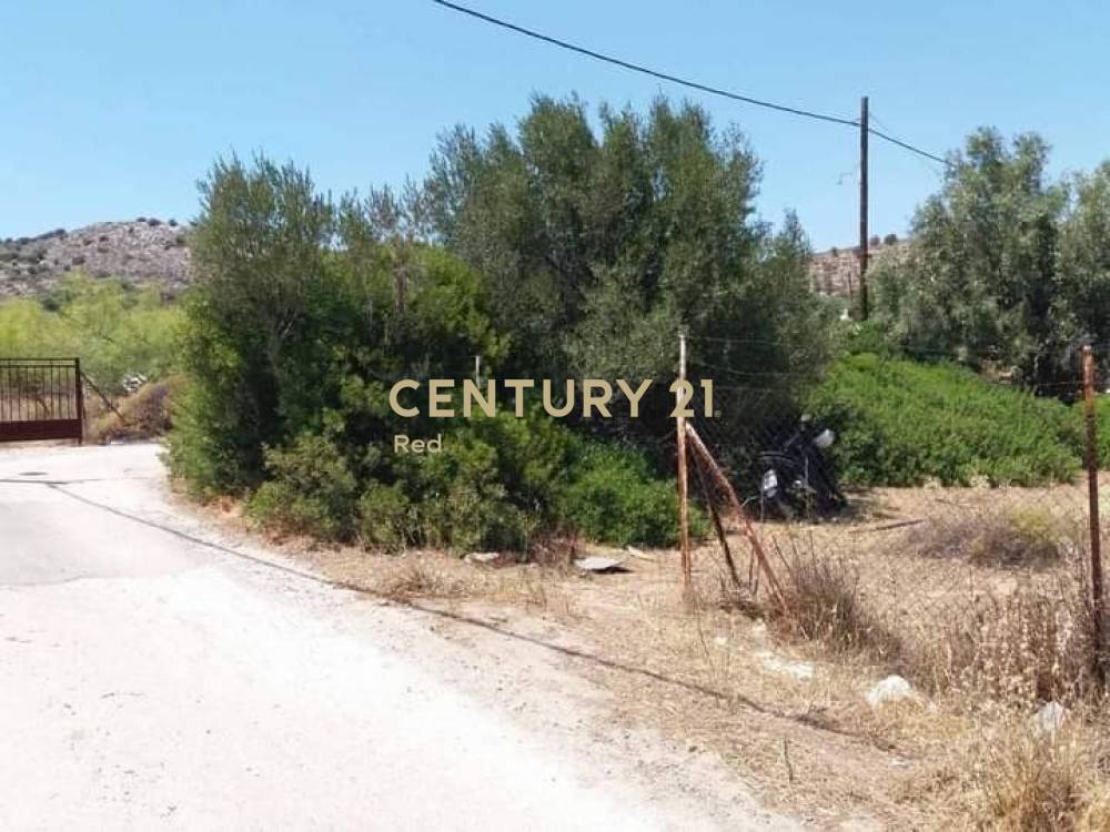 Αγροτεμάχιο — Σαλαμίνα