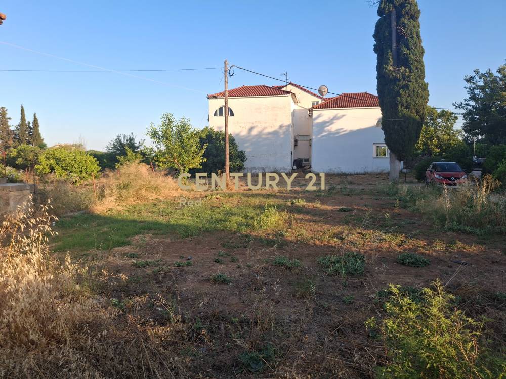Οικόπεδο στην περιοχή Ασίνη — φωτογραφία 3
