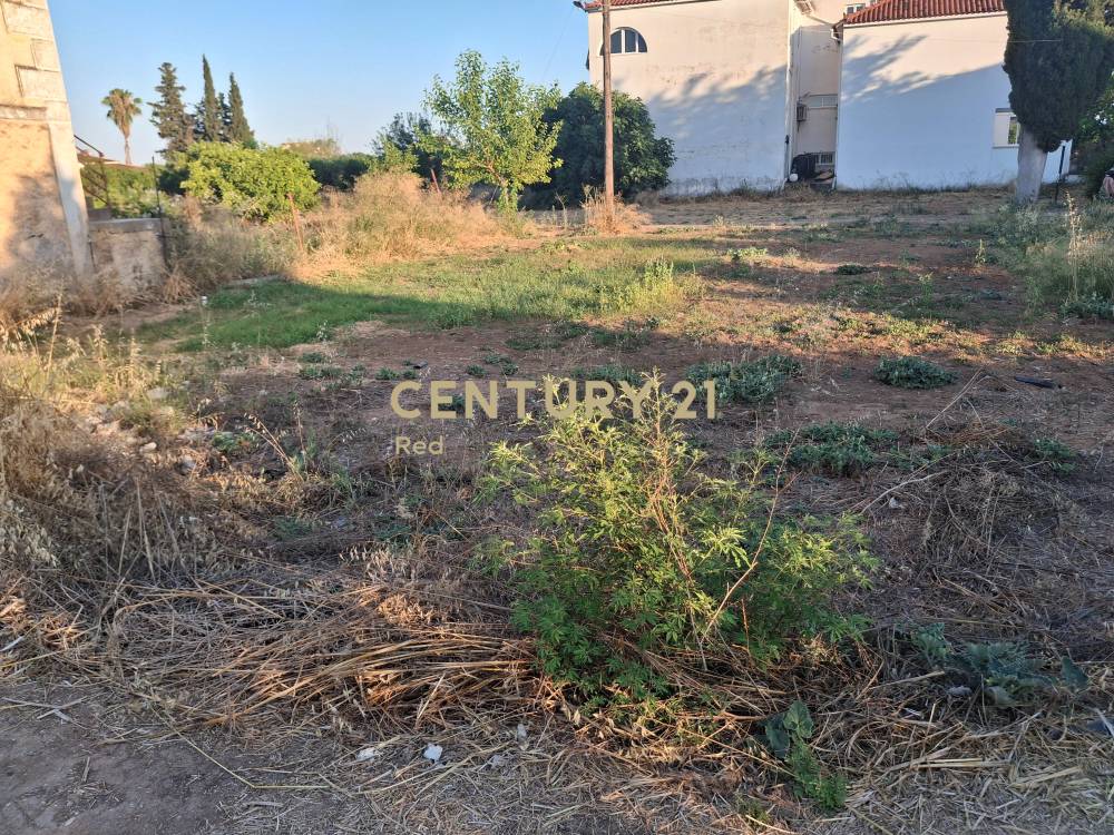 Οικόπεδο στην περιοχή Ασίνη — φωτογραφία 4