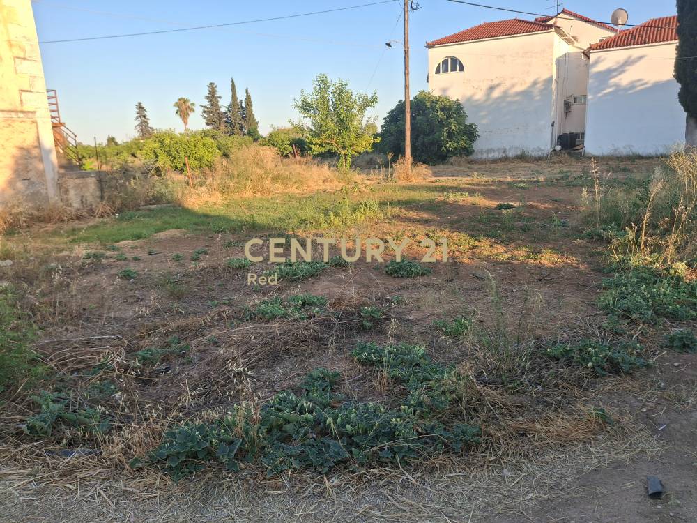 Οικόπεδο στην περιοχή Ασίνη — φωτογραφία 5