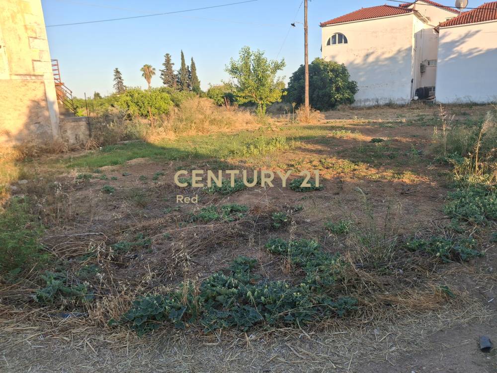 Οικόπεδο 541 τ.μ. προς πώληση στην περιοχή Ασίνη — φωτογραφία 6