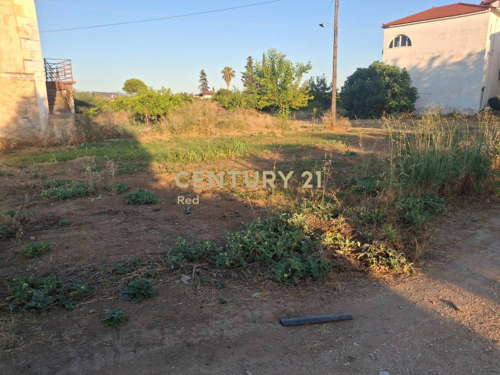 Οικόπεδο 541 τ.μ. προς πώληση στην περιοχή Ασίνη — φωτογραφία 7