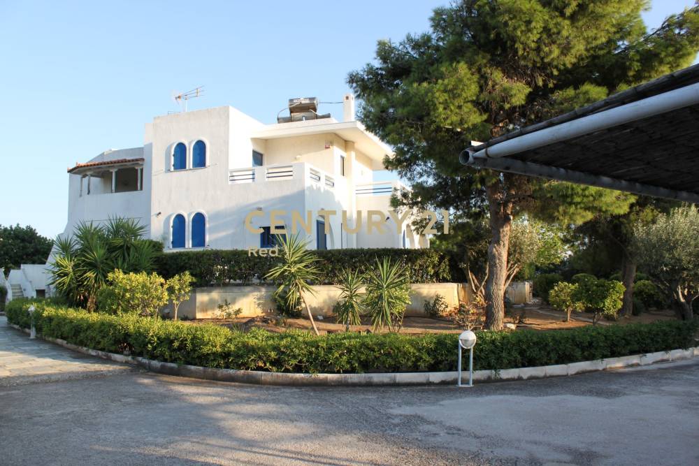 Μονοκατοικία 400 τ.μ. προς πώληση στην περιοχή Λεγρενά — φωτογραφία 28
