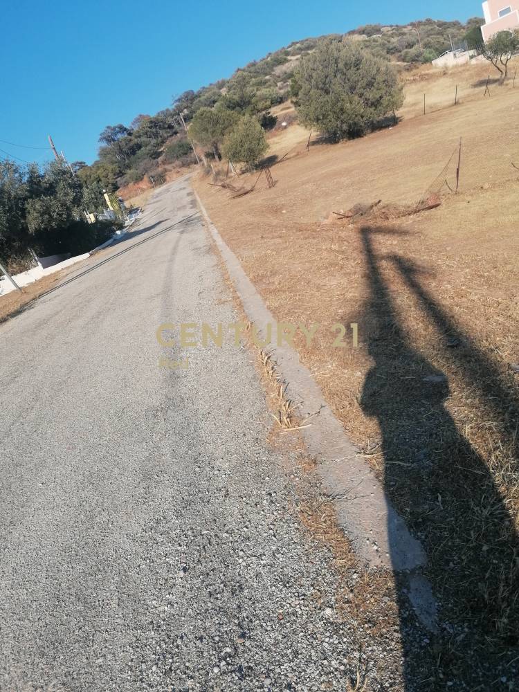 Οικόπεδο — Ανάβυσσος