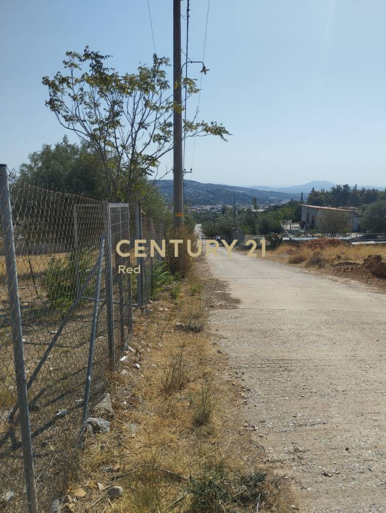 Αγροτεμάχιο — Παιανία