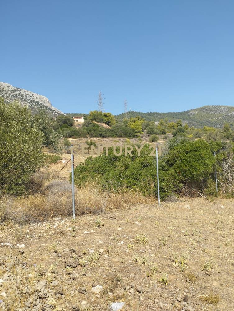 Αγροτεμάχιο — Παιανία