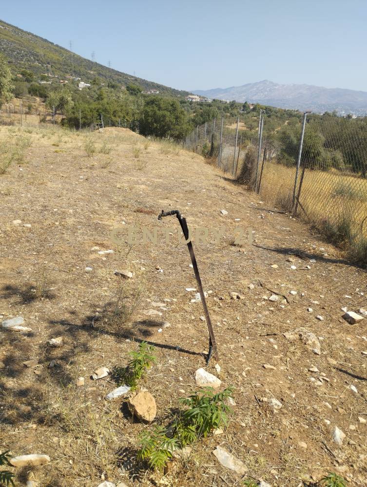 Αγροτεμάχιο στην περιοχή Παιανία — φωτογραφία 5
