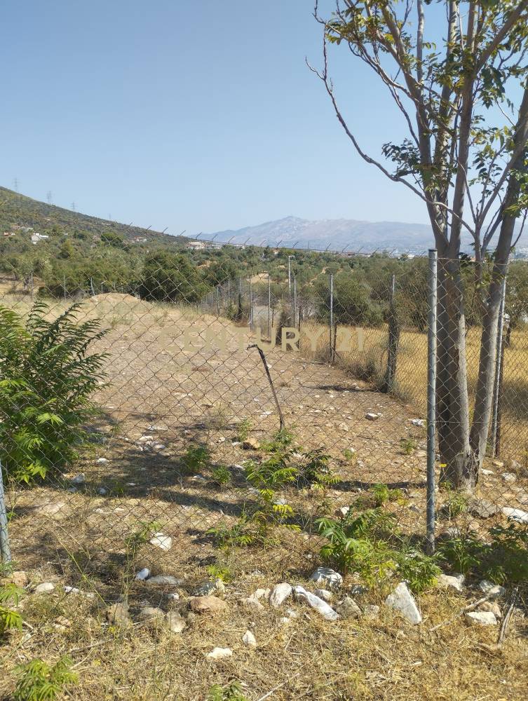 Αγροτεμάχιο 400 τ.μ. προς πώληση στην περιοχή Παιανία — φωτογραφία 6