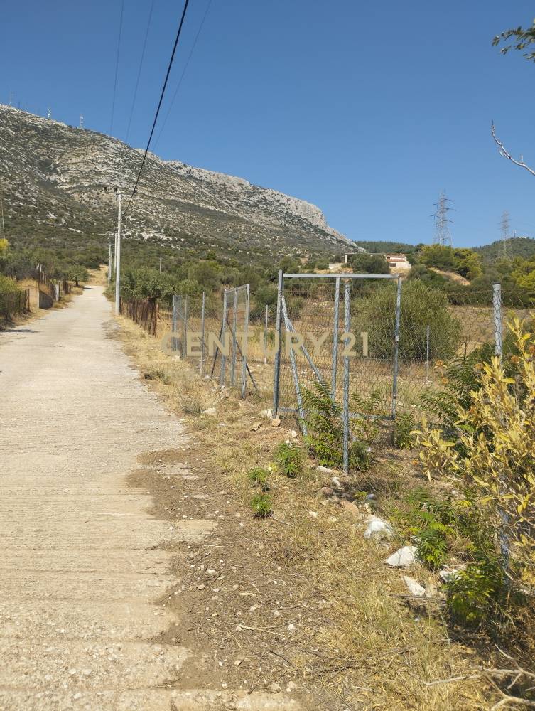 Αγροτεμάχιο 400 τ.μ. προς πώληση στην περιοχή Παιανία — φωτογραφία 7