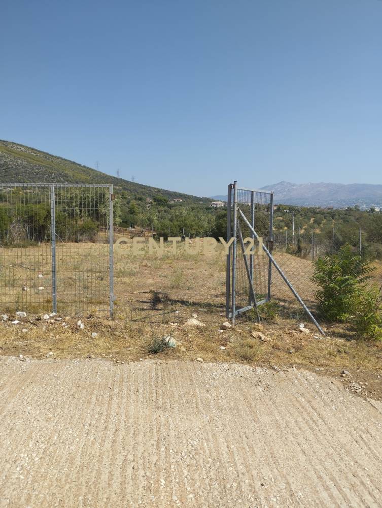 Αγροτεμάχιο 400 τ.μ. προς πώληση στην περιοχή Παιανία — φωτογραφία 8