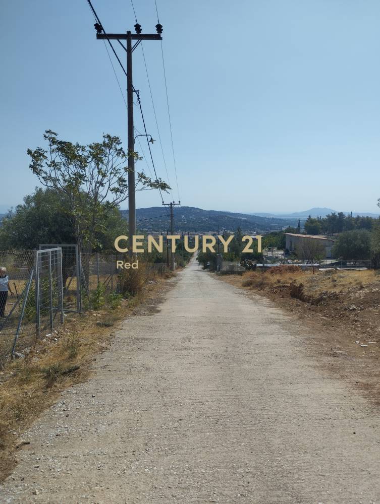 Αγροτεμάχιο 400 τ.μ. προς πώληση στην περιοχή Παιανία — φωτογραφία 9