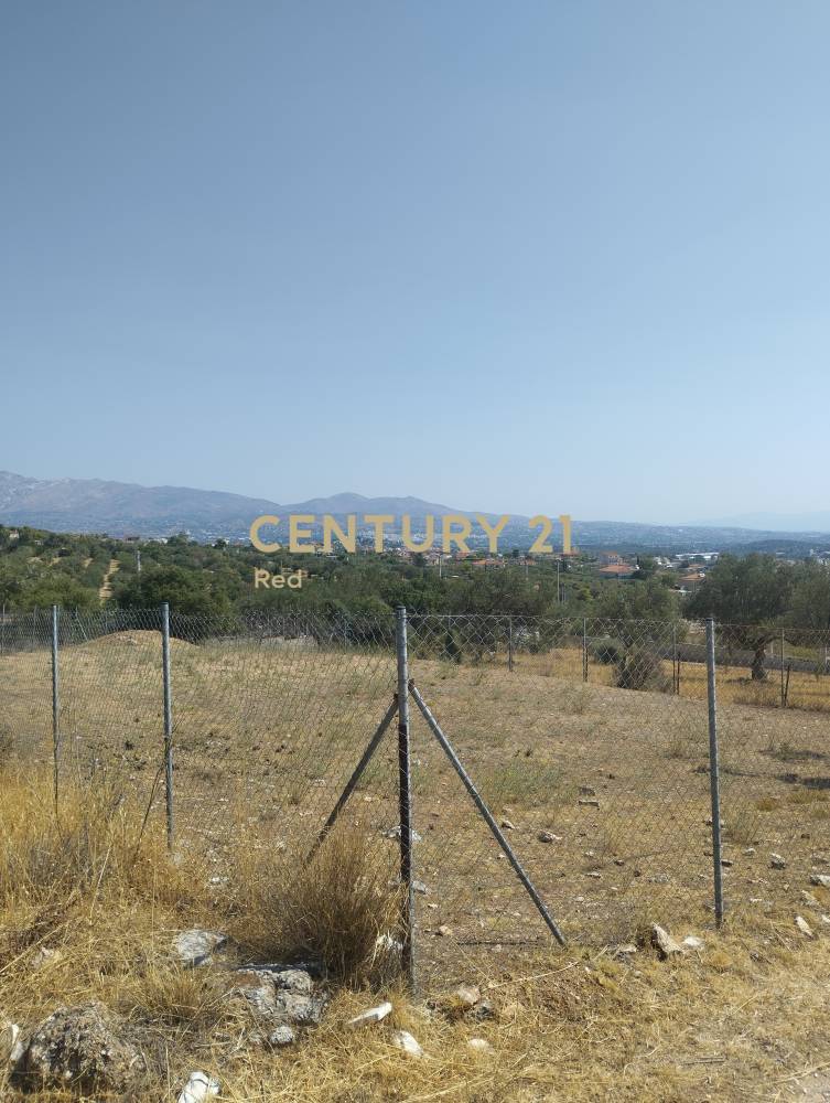Αγροτεμάχιο 400 τ.μ. προς πώληση στην περιοχή Παιανία — φωτογραφία 10