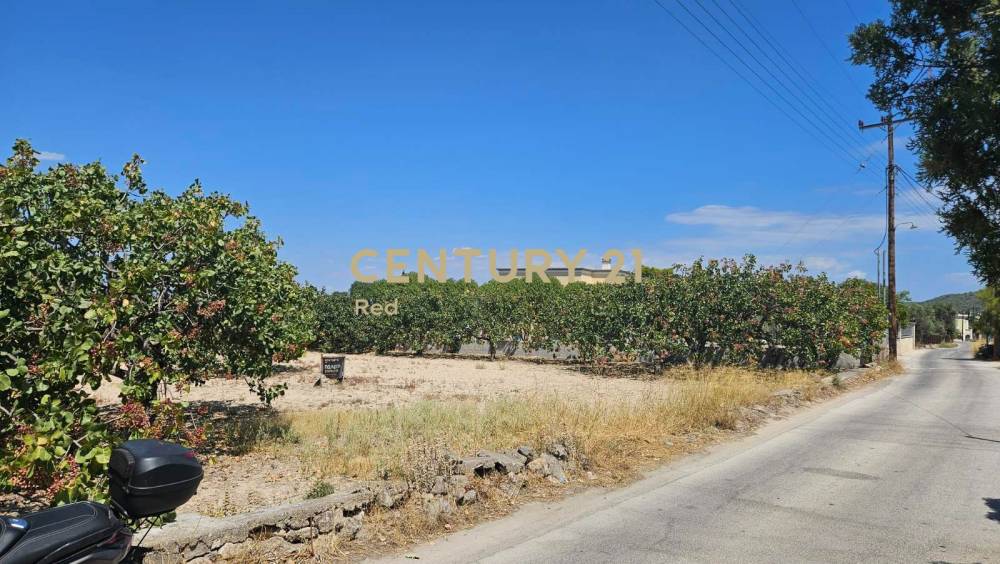 Οικόπεδο στην περιοχή Αίγινα — φωτογραφία 2