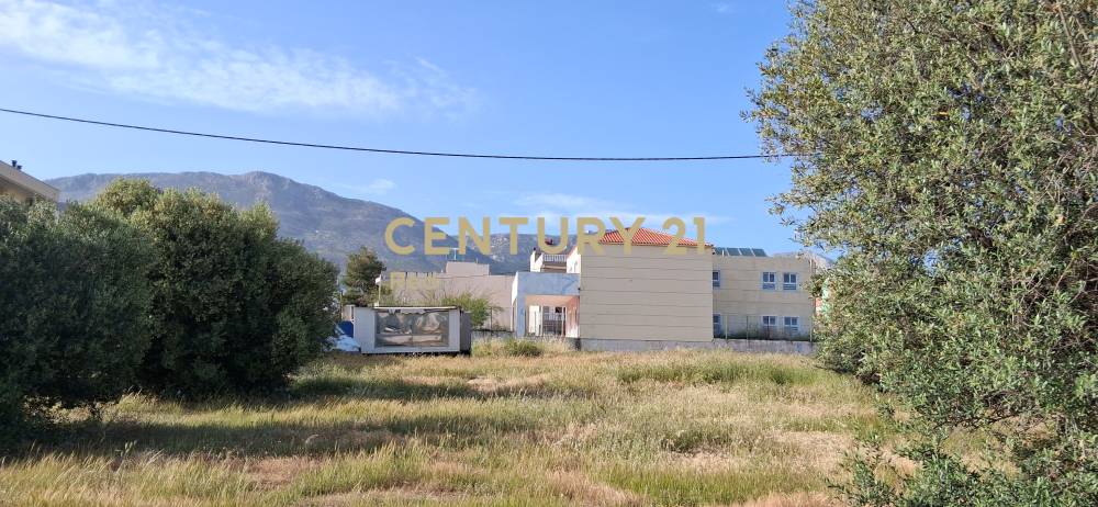 Οικόπεδο στην περιοχή Αχαρνές — φωτογραφία 5