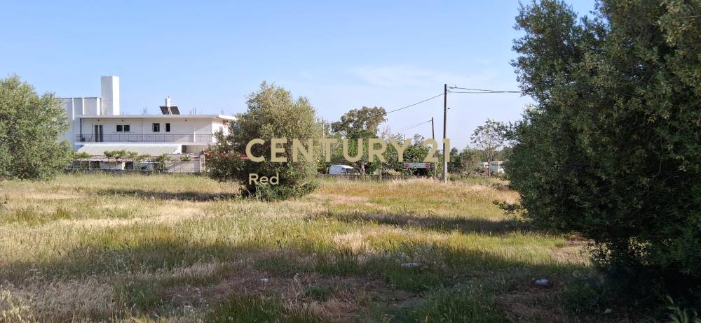 Οικόπεδο 1.047 τ.μ. προς πώληση στην περιοχή Αχαρνές — φωτογραφία 8