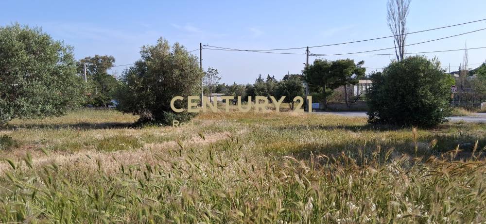Οικόπεδο 1.047 τ.μ. προς πώληση στην περιοχή Αχαρνές — φωτογραφία 10