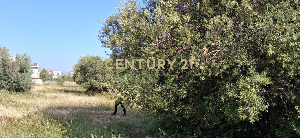 Οικόπεδο 1.047 τ.μ. προς πώληση στην περιοχή Αχαρνές — φωτογραφία 13