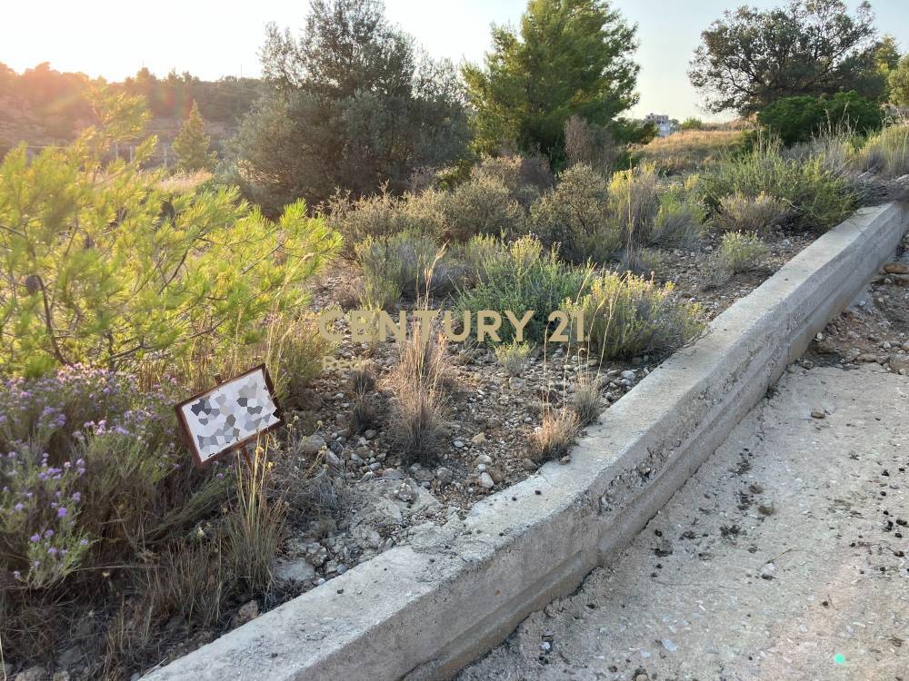 Οικόπεδο στην περιοχή Κρανίδι — φωτογραφία 3