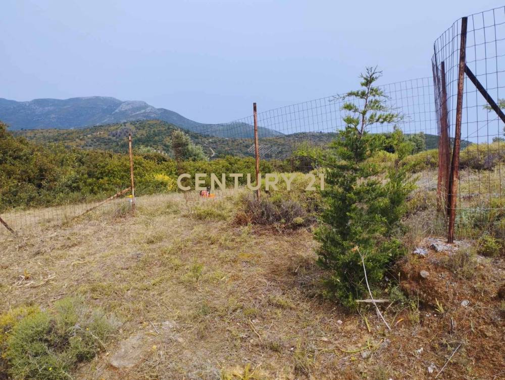 Οικόπεδο 611 τ.μ. προς πώληση στην περιοχή Κύμη — φωτογραφία 7