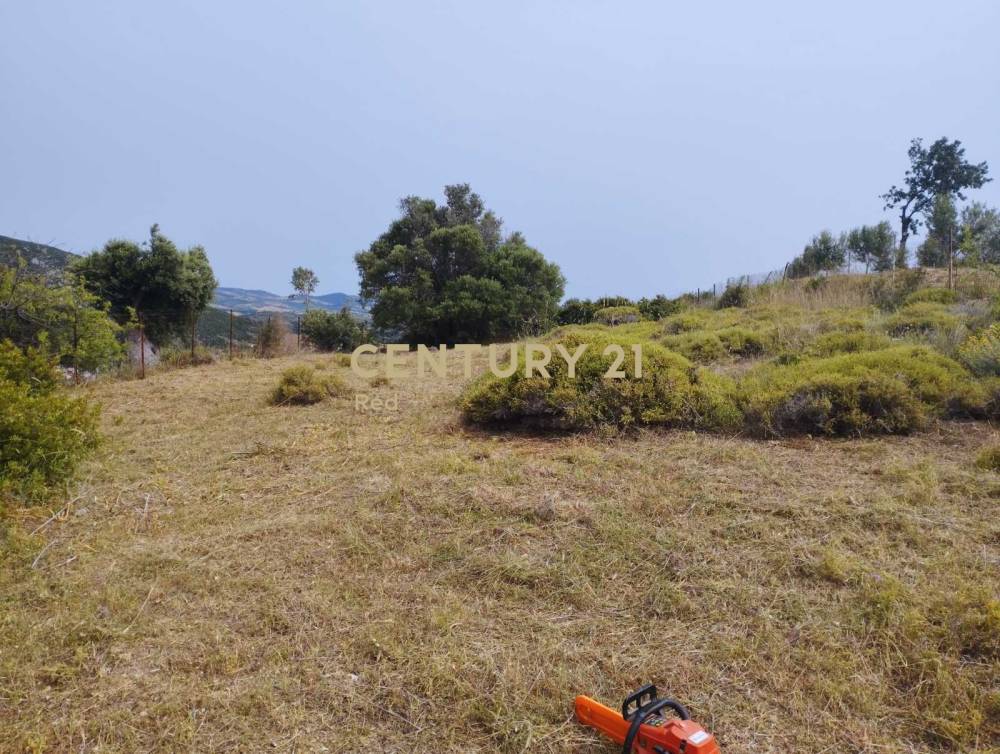 Οικόπεδο 611 τ.μ. προς πώληση στην περιοχή Κύμη — φωτογραφία 8