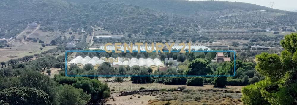 Μονοκατοικία 140 τ.μ. προς πώληση στην περιοχή Καλύβια Θορικού — φωτογραφία 32