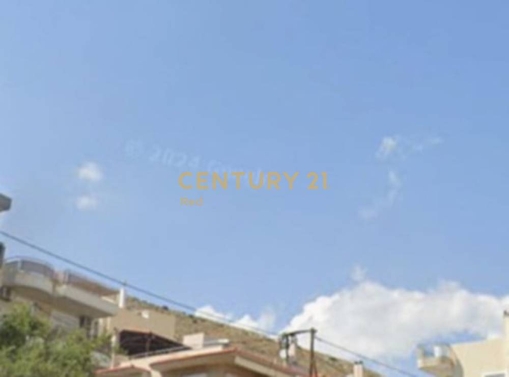 Οικόπεδο — Κορυδαλλός