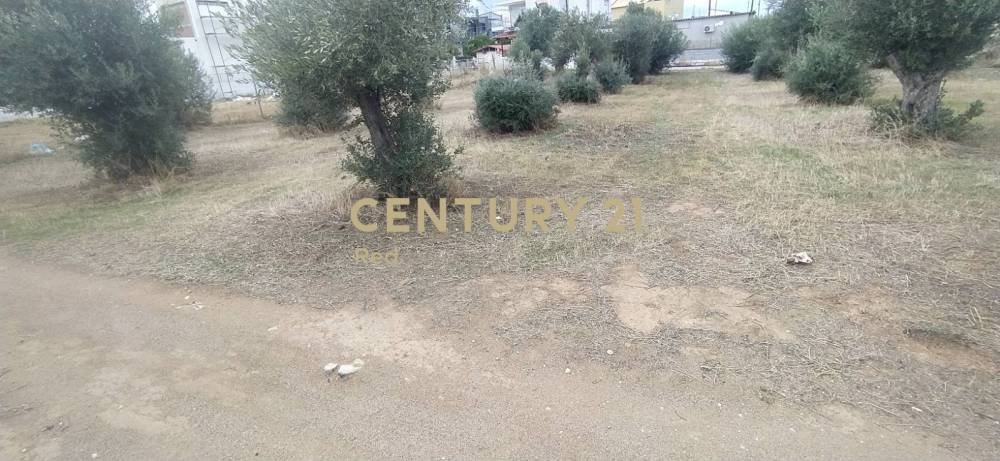 Οικόπεδο — Κόρινθος