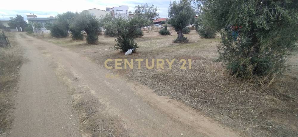 Οικόπεδο στην περιοχή Κόρινθος — φωτογραφία 2