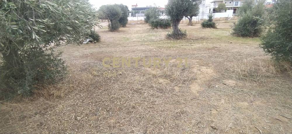 Οικόπεδο στην περιοχή Κόρινθος — φωτογραφία 3