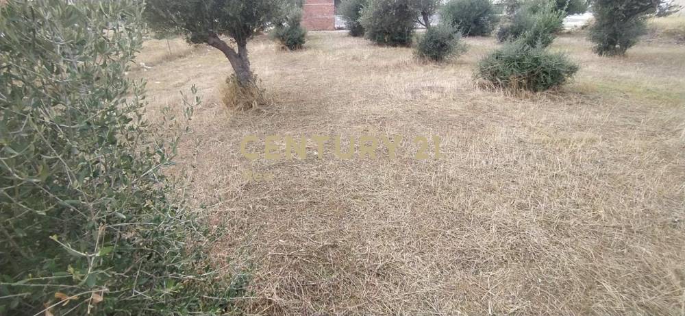 Οικόπεδο στην περιοχή Κόρινθος — φωτογραφία 4