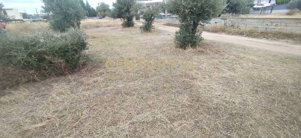 Οικόπεδο στην περιοχή Κόρινθος — φωτογραφία 5