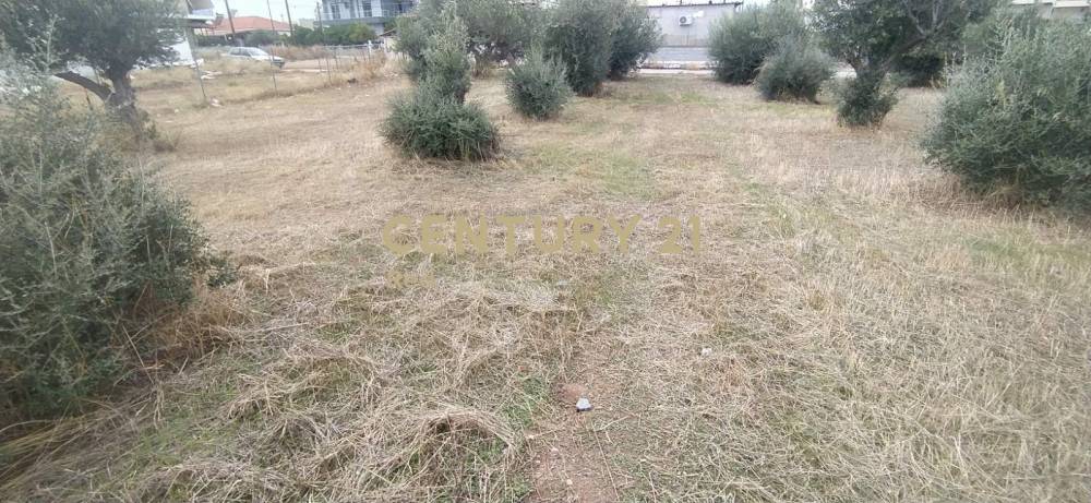 Οικόπεδο 412 τ.μ. προς πώληση στην περιοχή Κόρινθος — φωτογραφία 6