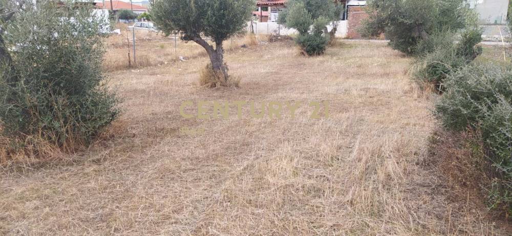 Οικόπεδο 412 τ.μ. προς πώληση στην περιοχή Κόρινθος — φωτογραφία 7