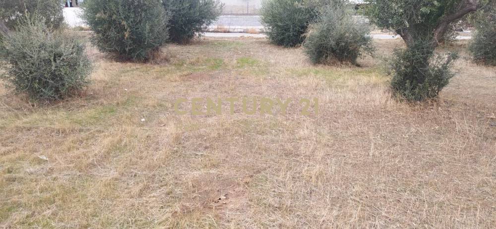 Οικόπεδο — Κόρινθος