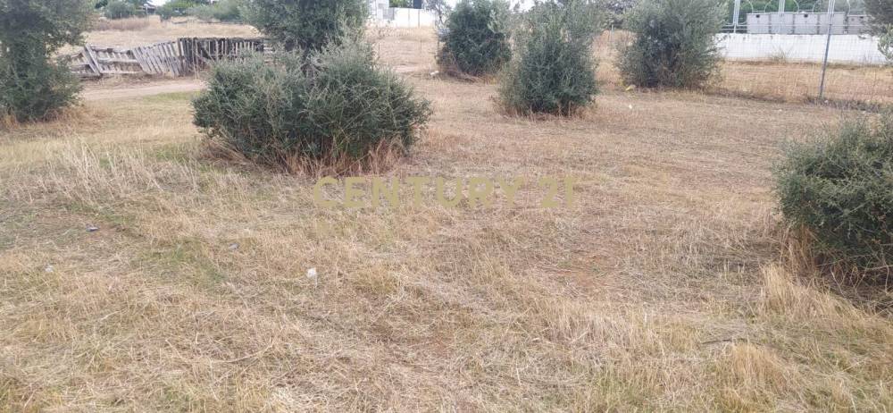 Οικόπεδο 392 τ.μ. προς πώληση στην περιοχή Κόρινθος — φωτογραφία 6