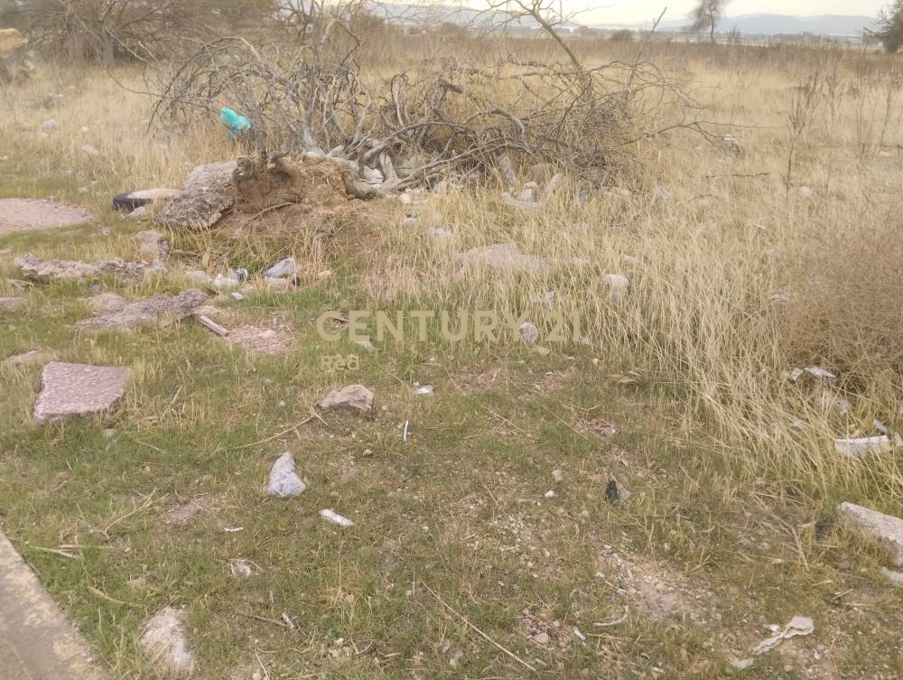 Αγροτεμάχιο στην περιοχή Ασπρόπυργος — φωτογραφία 5