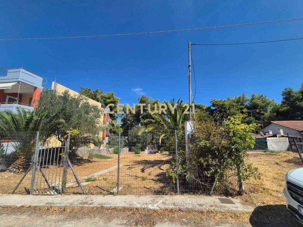 Οικόπεδο στην περιοχή Ωρωπός — φωτογραφία 5
