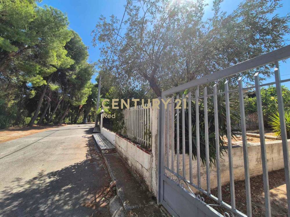Οικόπεδο 332 τ.μ. προς πώληση στην περιοχή Ωρωπός — φωτογραφία 6