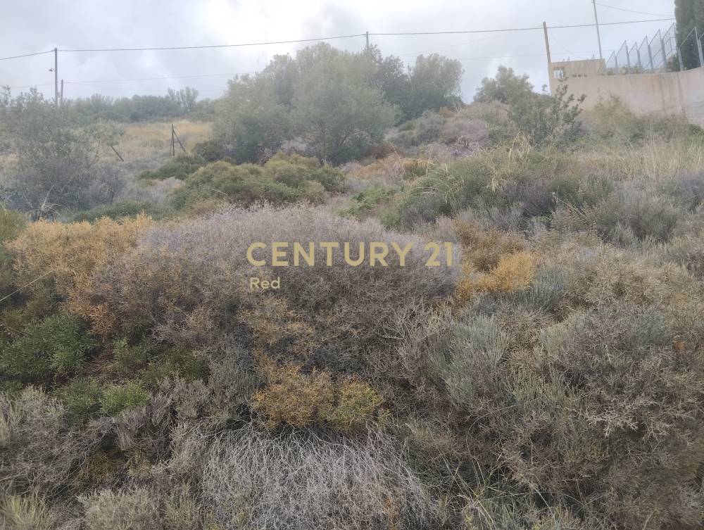 Αγροτεμάχιο — Κερατέα
