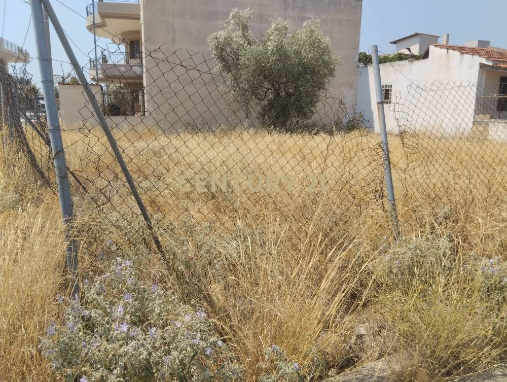 Οικόπεδο στην περιοχή Ελευσίνα — φωτογραφία 3