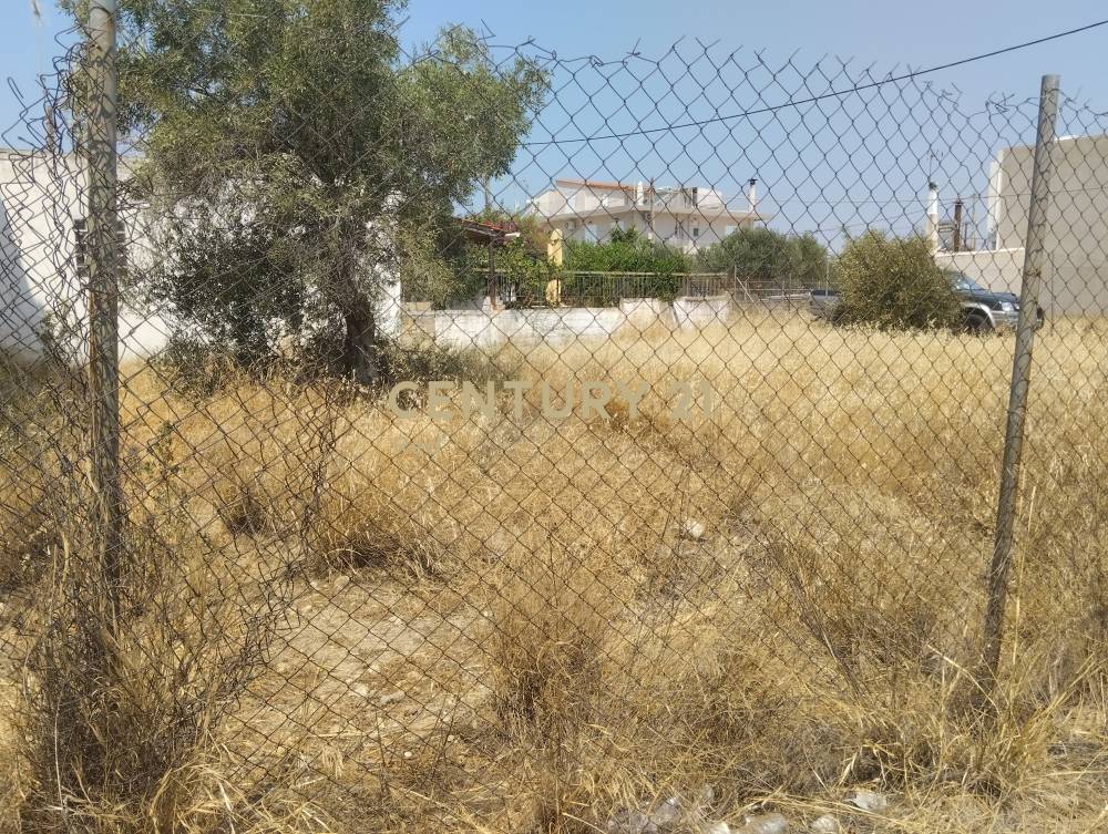 Οικόπεδο στην περιοχή Ελευσίνα — φωτογραφία 4