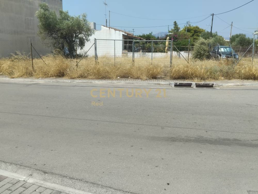 Οικόπεδο στην περιοχή Ελευσίνα — φωτογραφία 5