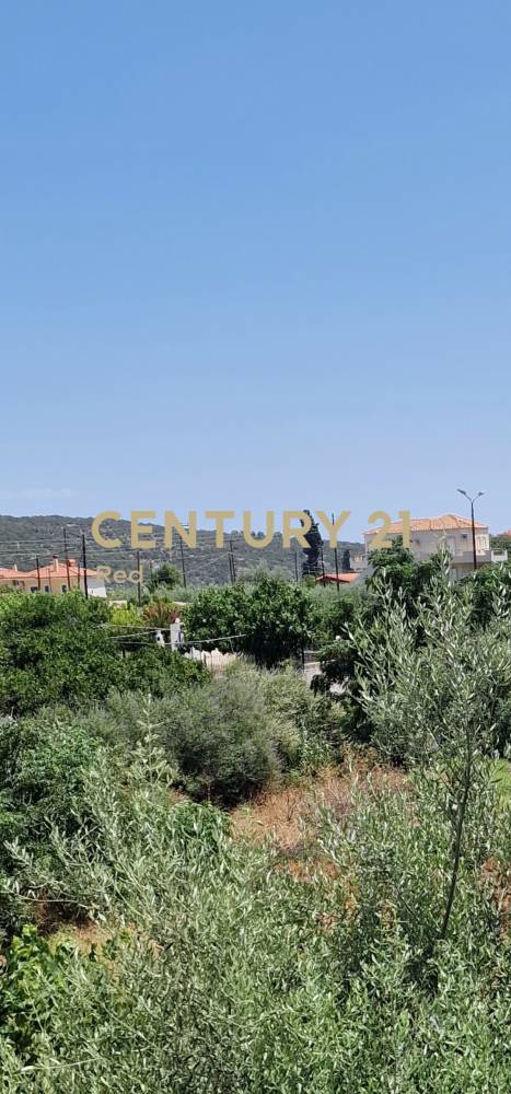 Διαμέρισμα 60 τ.μ. προς ενοικίαση στην περιοχή Επίδαυρος — φωτογραφία 8