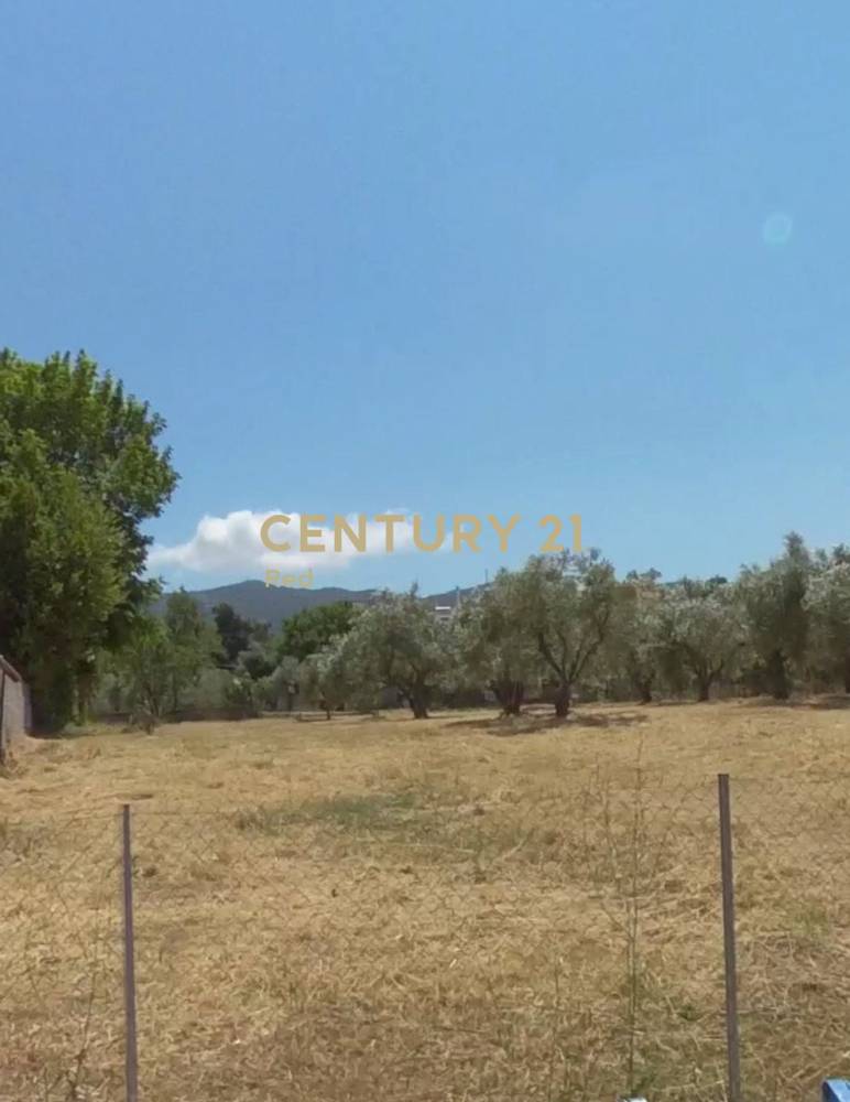 Οικόπεδο — Ροδόπολη